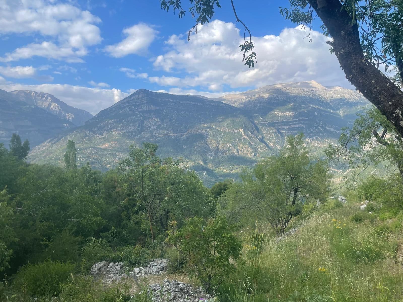 ANTALYA GÜNDOĞMUŞ BALKAYA KÖYÜ SATILIK BAHÇE 